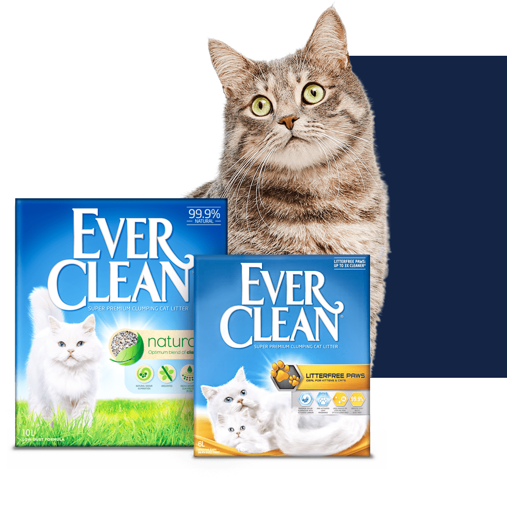Ever Clean