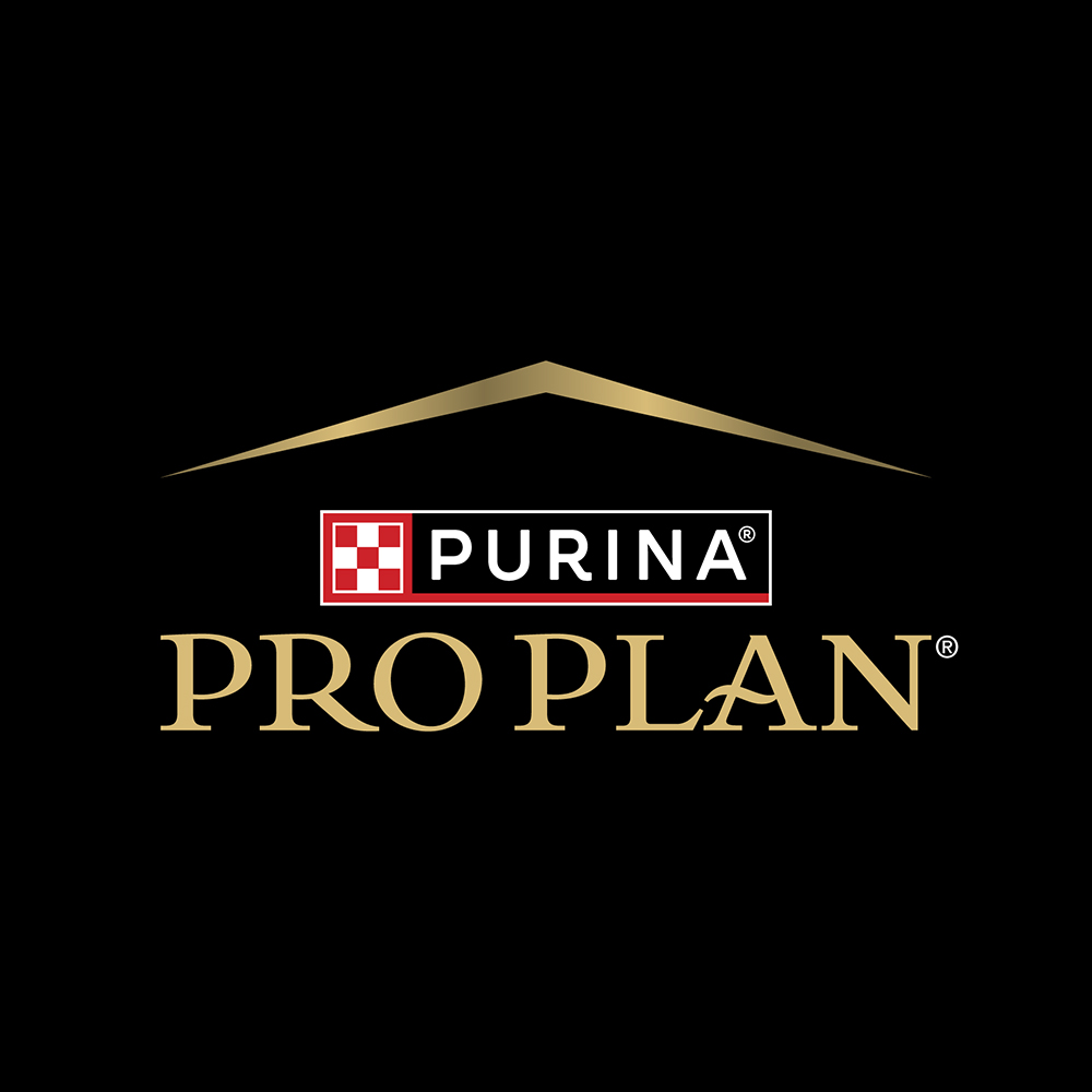 <span>Pro</span>Plan
